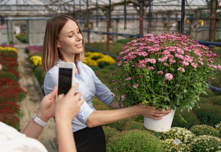 Perfil de empresa Instagram